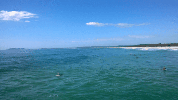Surf Australia GIF