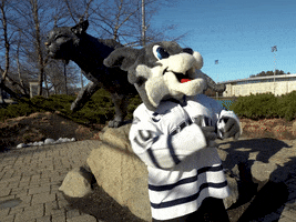 new hampshire slow clap GIF by University of New Hampshire