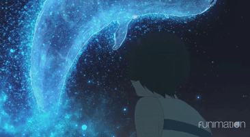 the boy and the beast spirit GIF by Funimation