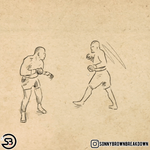 Knock Out Fight GIF by Sonny Brown Breakdown