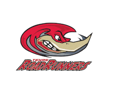 Texas Roadrunners Sticker