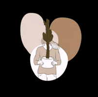 @budgethome GIF