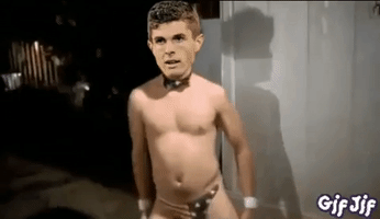 Bvb GIF