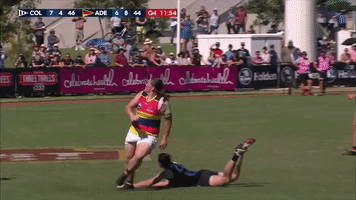 celebrate GIF by Adelaide Crows