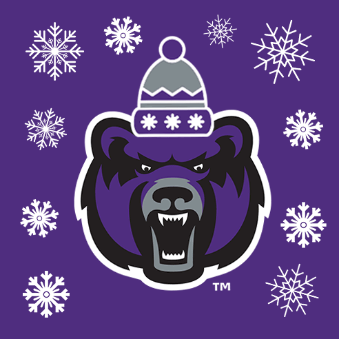 snow winter GIF by University of Central Arkansas