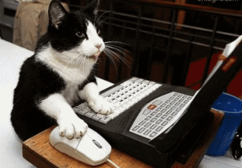 giphy.gif?cid=ecf05e477867d01dca2d8def60