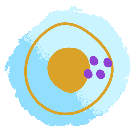 Steadyappsticker Sticker by Steady App