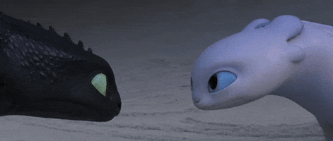 night fury love GIF by How To Train Your Dragon