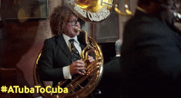 new orleans film GIF by Blue Fox Entertainment