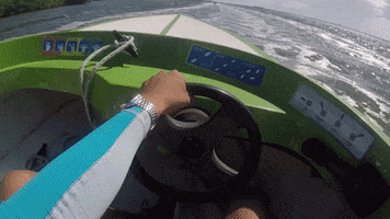 speed boat aquatours GIF by Dolphin Discovery