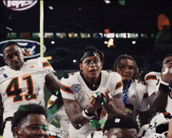 Miami Hurricanes GIF