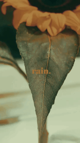 krissyld #rain GIF