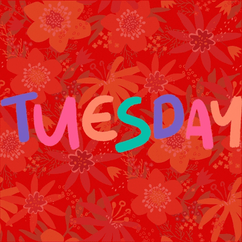 Text gif. The word "Tuesday" flashes in teal, pink, orange, and blue over a background of tropical red flowers.