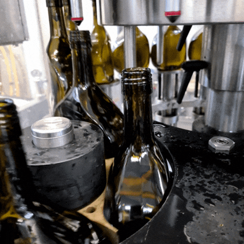 Weingut Fischer GIF