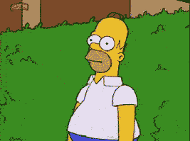 giphy.gif?cid=790b7611965cead275b72350f7