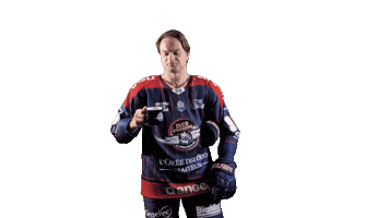 Ducs2026 Sticker by Les Ducs d'Angers