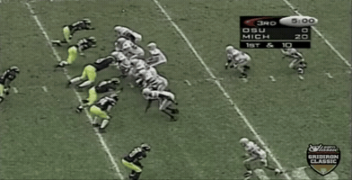 Michigan GIF
