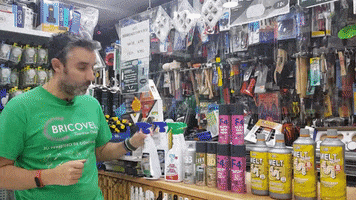 Bricovel GIF