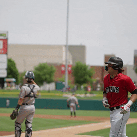 GIF by Indianapolis Indians