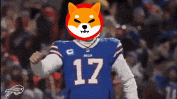 Shib GIF by Sailor SEO