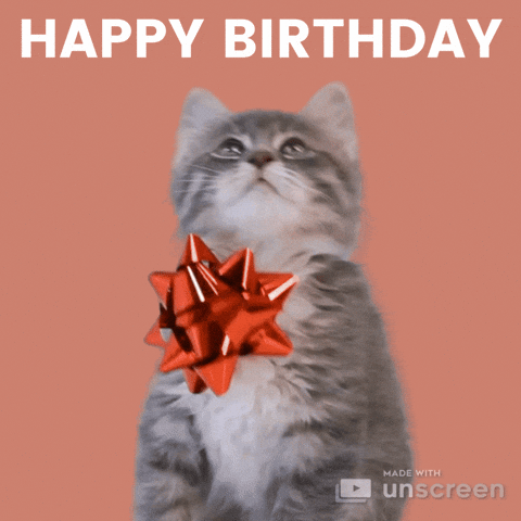 Happy Birthday Cat Gif - IceGif