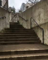 Three-Legged Dog Shows Her Inner Rocky and Races Up Stairs