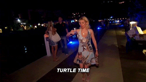 real housewives of new york ramona GIF by RealityTVGIFs