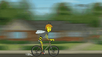 Animation GIF