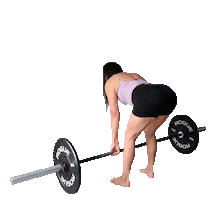 bodiesbymonika Sticker