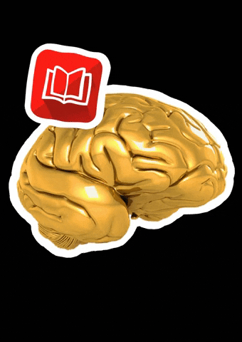 Priorita brain prioritÃ  мозг приорита GIF