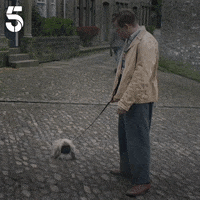 200.gif?cid=fc005b080749d9aaf5c3965efe22e0c4d416025e56eaeda7&rid=200.gif&ct=g