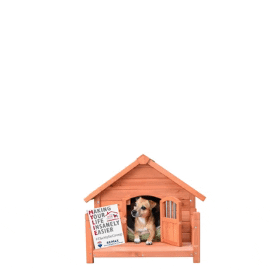 Dog Realestate GIF by The MYLIE Group Real Estate Team