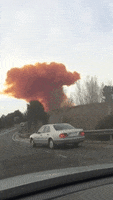 200.gif?cid=fc005b086e556e65ecd033da3fd777d517c7a6cd40898e8c&rid=200.gif&ct=g