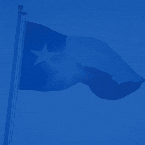 Texas Independence GIF by Texas Nationalist Movement