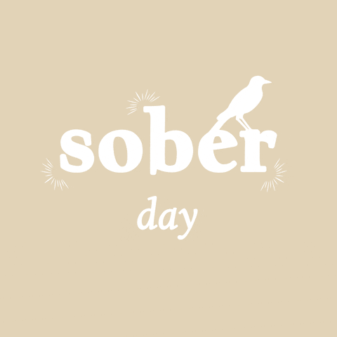 Mockingbird Spirit GIF