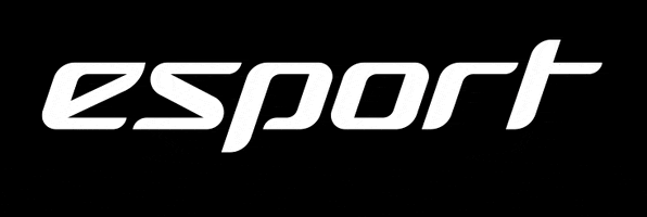 Esport GIF