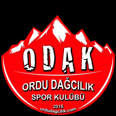 Odak GIF by ordudagcilik