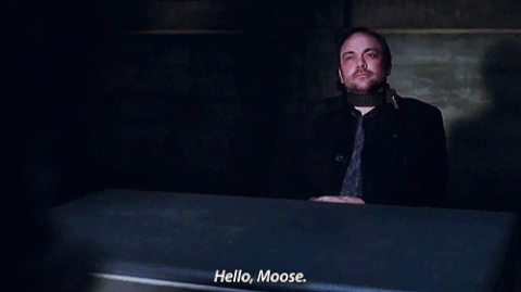 moose