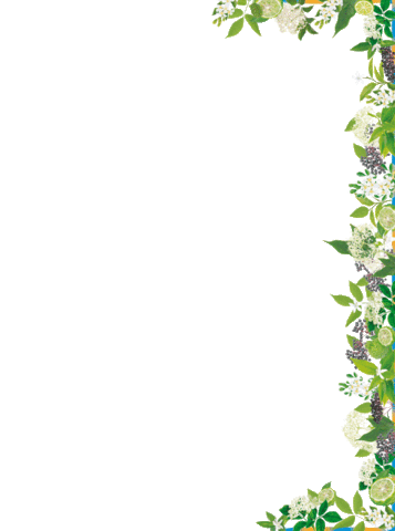 BACCA SPIRITS Sticker