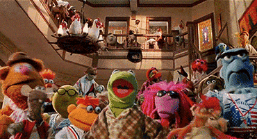 Kermit The Frog Dancing GIF by Muppet Wiki