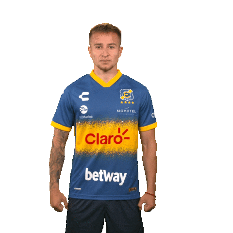 evertonvina Sticker