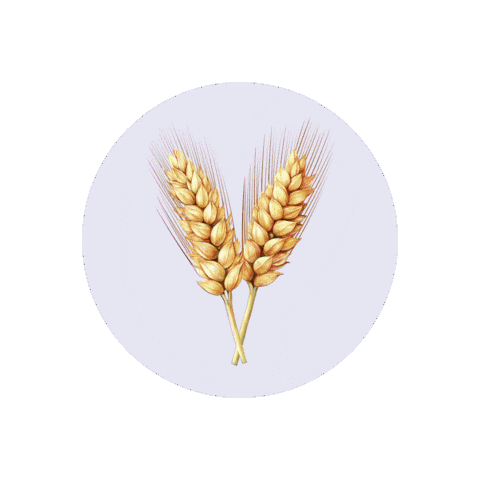 Kärnten Sticker by Hirter Bier