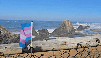 Beach Pride GIF by AceArchive