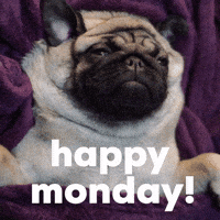 Happy-monday GIFs - Get the best GIF on GIPHY Happy-monday GIFs - Get the best GIF on GIPHY