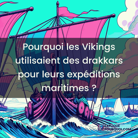 Vikings Drakkars GIF by ExpliquePourquoi.com