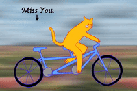 I Miss You Cat GIFs