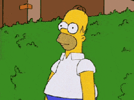disappear the simpsons GIF