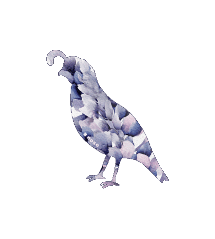 Quail Noso Sticker by nosopatches