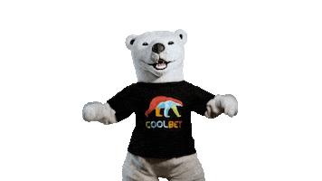 Bear Bet Sticker by Coolbet Chile