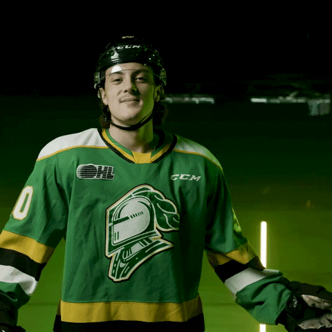St Louis Blues GIF by London Knights